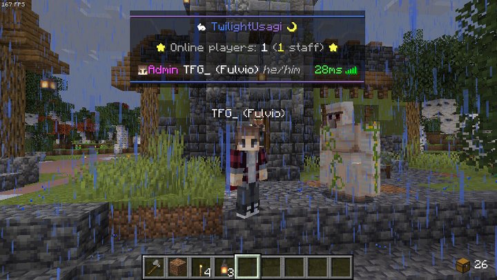 Screenshot of Fulvio's nickname and pronouns showing in the tab list'